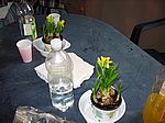 Zumindest drinnen hat ein Stückchen Frühling Einzug gehalten!