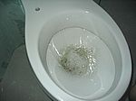 Alles klar - das erste Zisternenwasser rauscht durch den Abfluß!