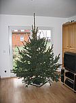 Der erste Baum im eigenen Heim...