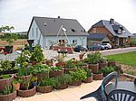 Der Käutergarten ist geradezu explodiert!