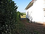 Die Kirschlorbeerhecke musste an die Grenze zurückgeschnitten werden, damit unser Eingang befestigt werden kann