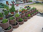 Mein heißersehnter Kräutergarten ist gepflanzt!