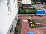 Vor dem Haus haben die ersten Pflanzen Quartier bezogen
