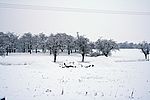 Es hat gewaltig geschneit... zum ersten Mal ist Schnee schippen angesagt!