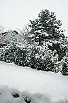 Märchenhafte Stimmung