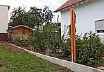 Die H-Anker für den Sichtschutz sind gesetzt - und die Hecke schon ordentlich gewachsen!