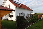 Die Hecke hat sich wunderbar entwickelt